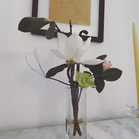 Ancien Palace 4couchages Vue Lägenhet